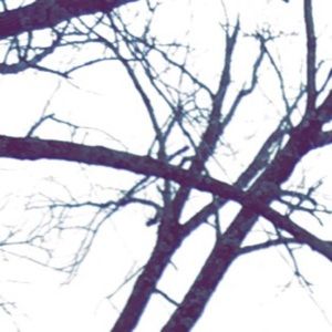 Meet your Posher, Tucker